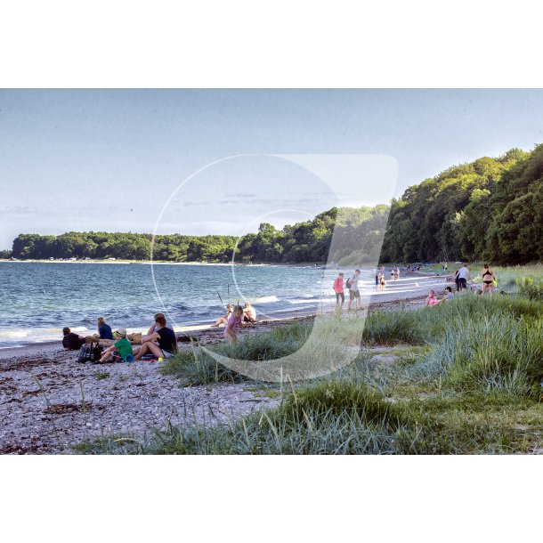 Fljstrup strand