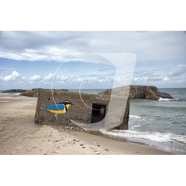 Vigs strand
