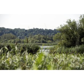 Guden�en ved Randers