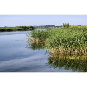 Guden�en ved Randers