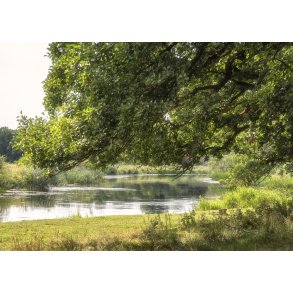 Guden�en ved Lang� Egeskov