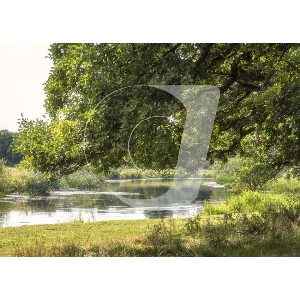 Guden�en ved Lang� Egeskov