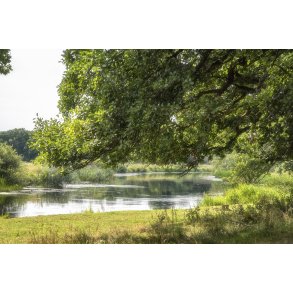 Gudenen ved Lang Egeskov