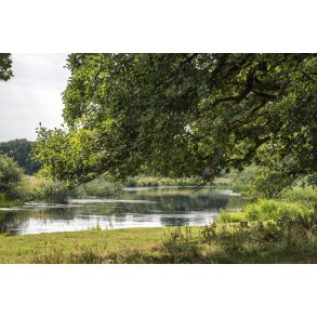 Guden�en l�ber langs med Egeskoven i Lang�