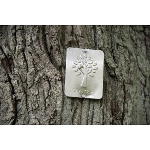 Livstr� i Egeskoven ved Lang�