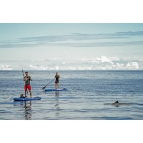 Paddleboards m�de legende Marsvin