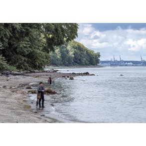 Lystfisker p� Fl�jstrup strand med Aarhus i baggrunden