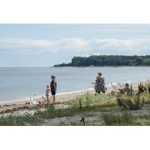 Sensommer ved Fl�jstrup strand