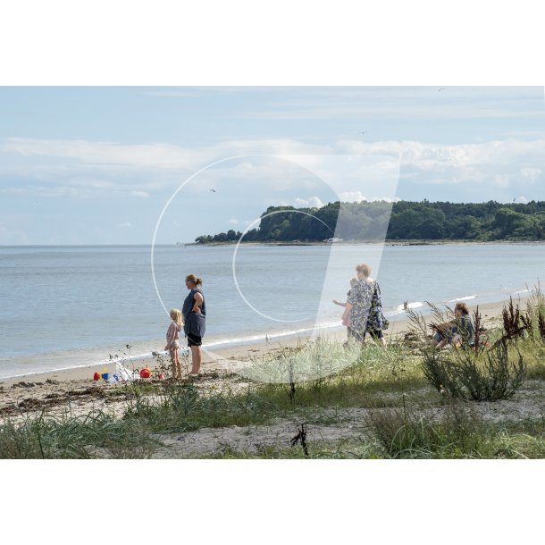 Sensommer ved Fljstrup strand