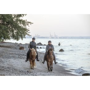 Ryttere p� Fl�jstrup strand ved Aarhus