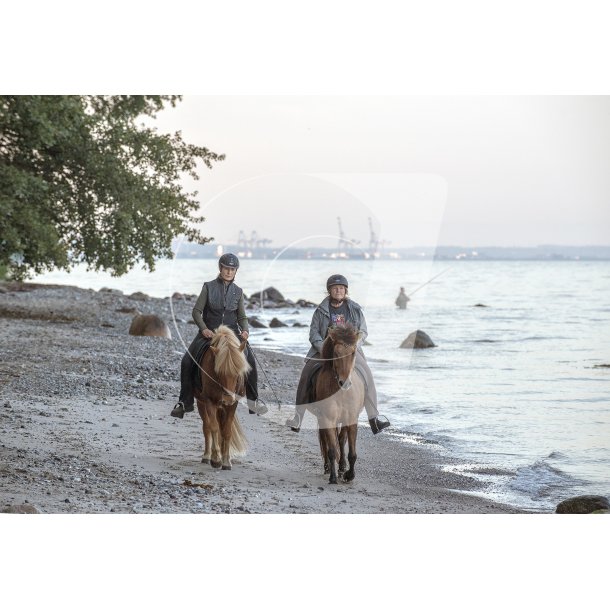 Ryttere p Fljstrup strand ved Aarhus