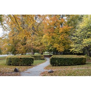 Efter�r i Gethers anl�gget i Randers