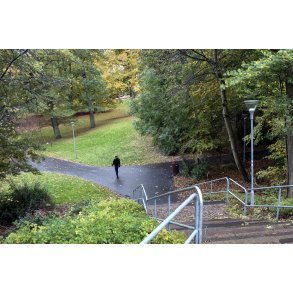 Trappen fra Hobrovej ned mod Vester Altan anl�gget