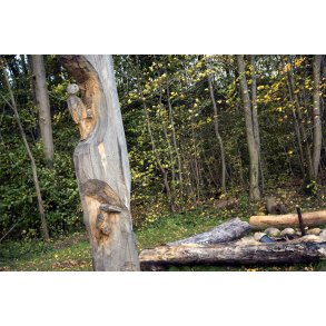 Tr�sk�rer arbejde ved Giber �