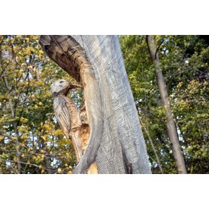 Tr�sk�rer arbejde ved Giber �