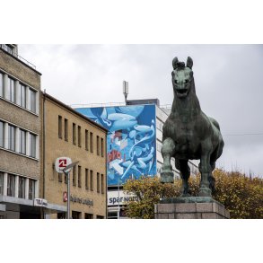 Den jyske hingst p� �stervold i Randers