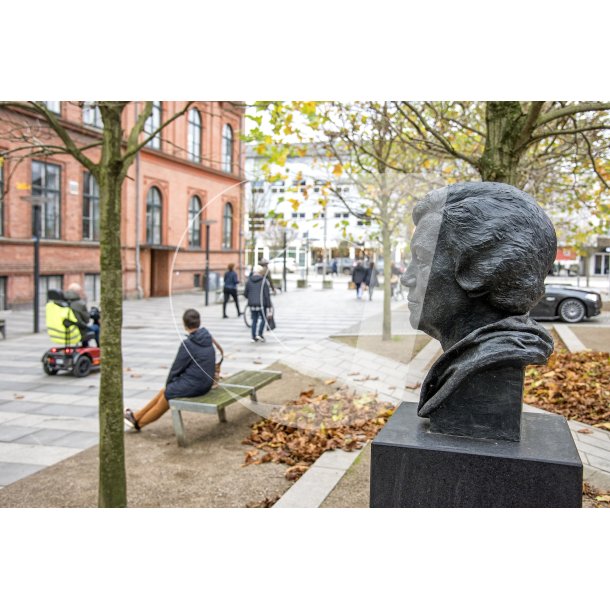 Busten af Karin Micha&euml;lis kikker p indgange til Kulturhuset i Randers
