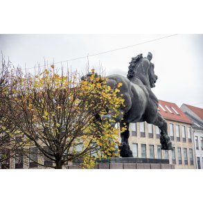 Den Jyske Hingst p� �stervold i Randers