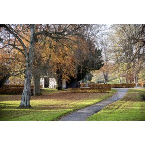 Efter�r i T�jhushaven i Randers