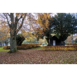 Efter�r i T�jhushaven i Randers