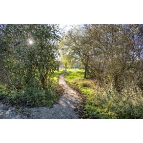 Naturomr�det Vorup Enge ligger lige op til Rastepladsen Guden� ved E45 nord