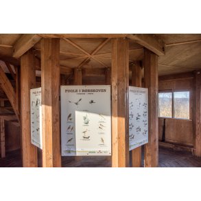 Fuglet�rnet ved rastepladsen Guden� ved E45 nord.