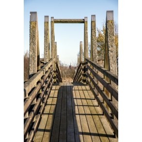 Gangbro over Bison indhegningen i Vorup Enge ved Randers