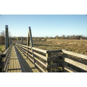 Gangbro over Bison indhegningen i Vorup Enge ved Randers