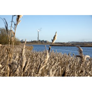 Vorup enge er blevet en del af Guden� deltaet ved Randers