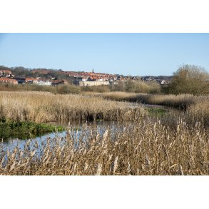 Vorup enge er blevet en del af Guden� deltaet, med Randers i baggrunden