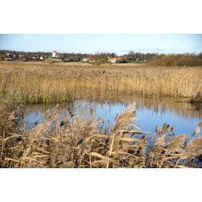 Vorup enge er blevet en del af Guden� deltaet og her med Hornb�k kirke og Hornb�k i baggrunden