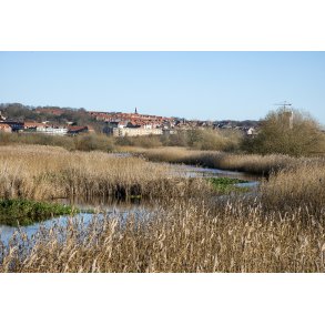 Vorup enge er blevet en del af Guden� deltaet, med Randers skyline i baggrunden