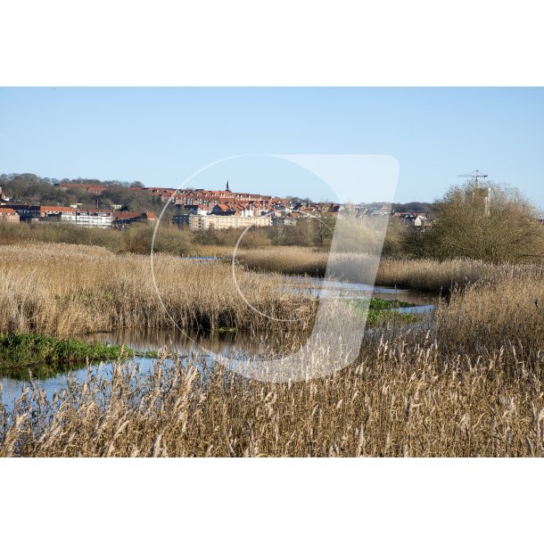 Vorup enge er blevet en del af Guden deltaet, med Randers skyline i baggrunden