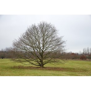 Nordre F�lled i Randers