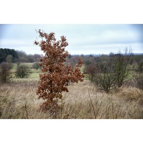 Nordre F�lled i Randers