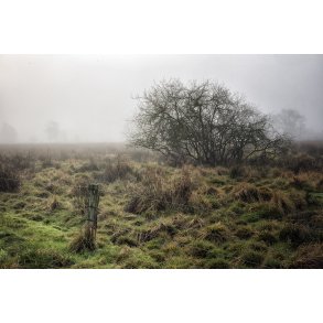 Vinter i Vorup Enge ved Guden�en i Randers