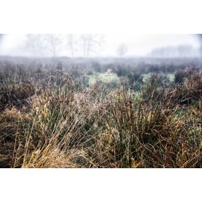 Vinter i Vorup Enge ved Guden�en i Randers