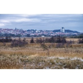 Vorup Enge og Randers set fra Rastepladsen Guden�