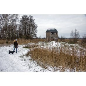 Fuglet�rnet p� kanten af Vorup enge, lige ved siden af rasteplads Guden� ved E45