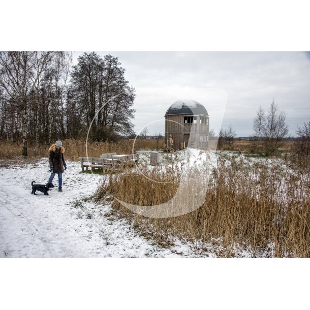 Fugletrnet p kanten af Vorup enge, lige ved siden af rasteplads Guden ved E45