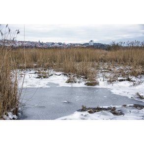 En kold vinterdag i Vorup enge med Randers i baggrunden