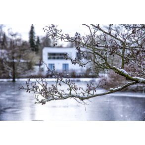 Vinter i Doktorparken i Randers