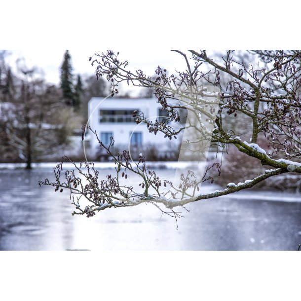 Vinter i Doktorparken i Randers