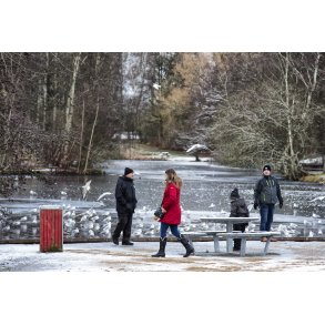 Vinter ved s�en i Doktorparken i Randers