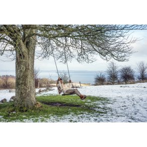 Foran Karpenhj Naturcenter p Mols er en gynge med en smuk udsigt til Ebeltoft