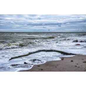 En meget kold dag ved Fl�jstrup strand med Sams� i baggrunden