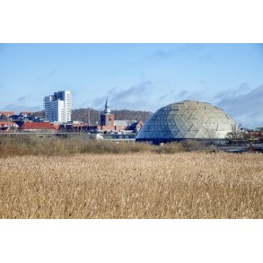 Randers med Sct. Mortsns kirke, Randers Regnskov og det nye h�jhus, set fra Vorup Enge