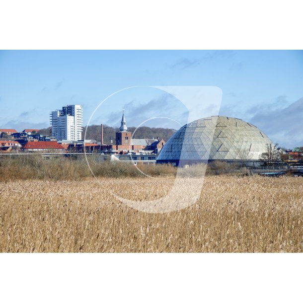 Randers med Sct. Mortsns kirke, Randers Regnskov og det nye hjhus, set fra Vorup Enge