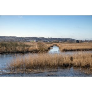 Vorup enge ved Randers