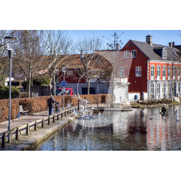 En lille dam med mger og fodgnger ved Pjentemllestrde i Svendborg